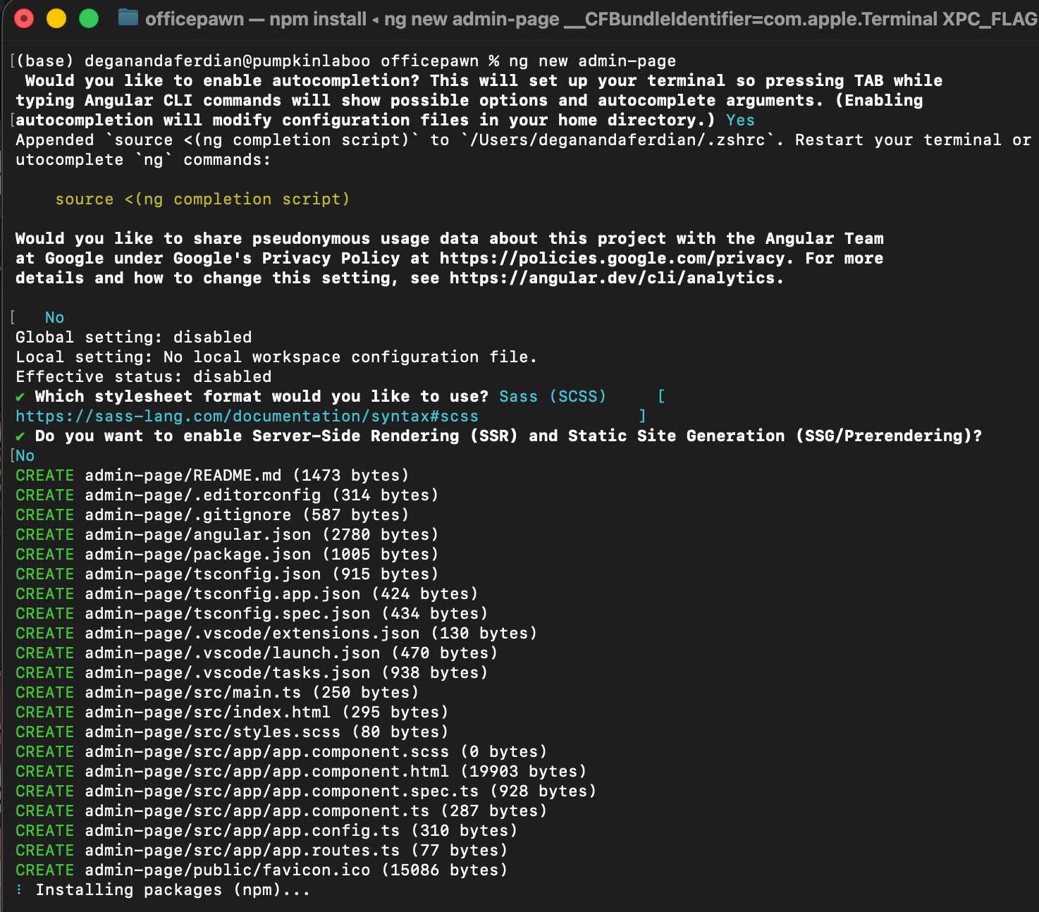 Angular project creation with ng new command is successful