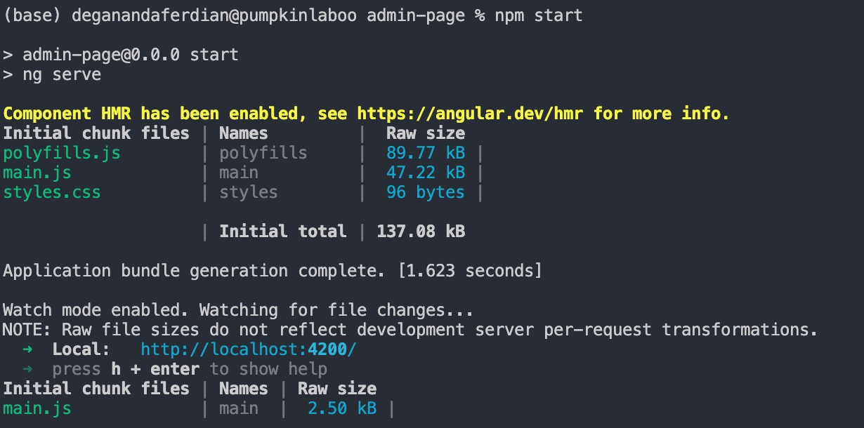 Start local server on the angular project