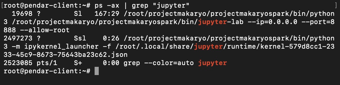 One jupyterlab instances still active and running