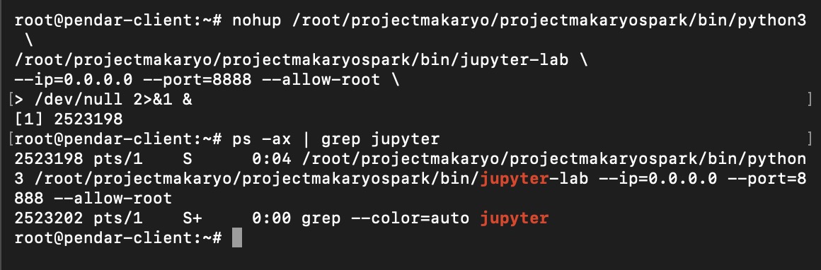 Jupyterlab is now running on background via nohup command