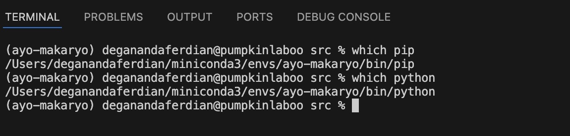 Both pip and python command already pointed to correct conda environment folder