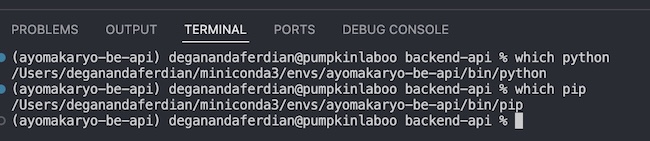 both python path & pip path are pointed to correct specific conda binary file