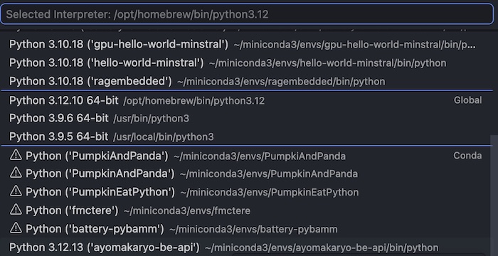 select correct conda python interpreter on the VSC IDE